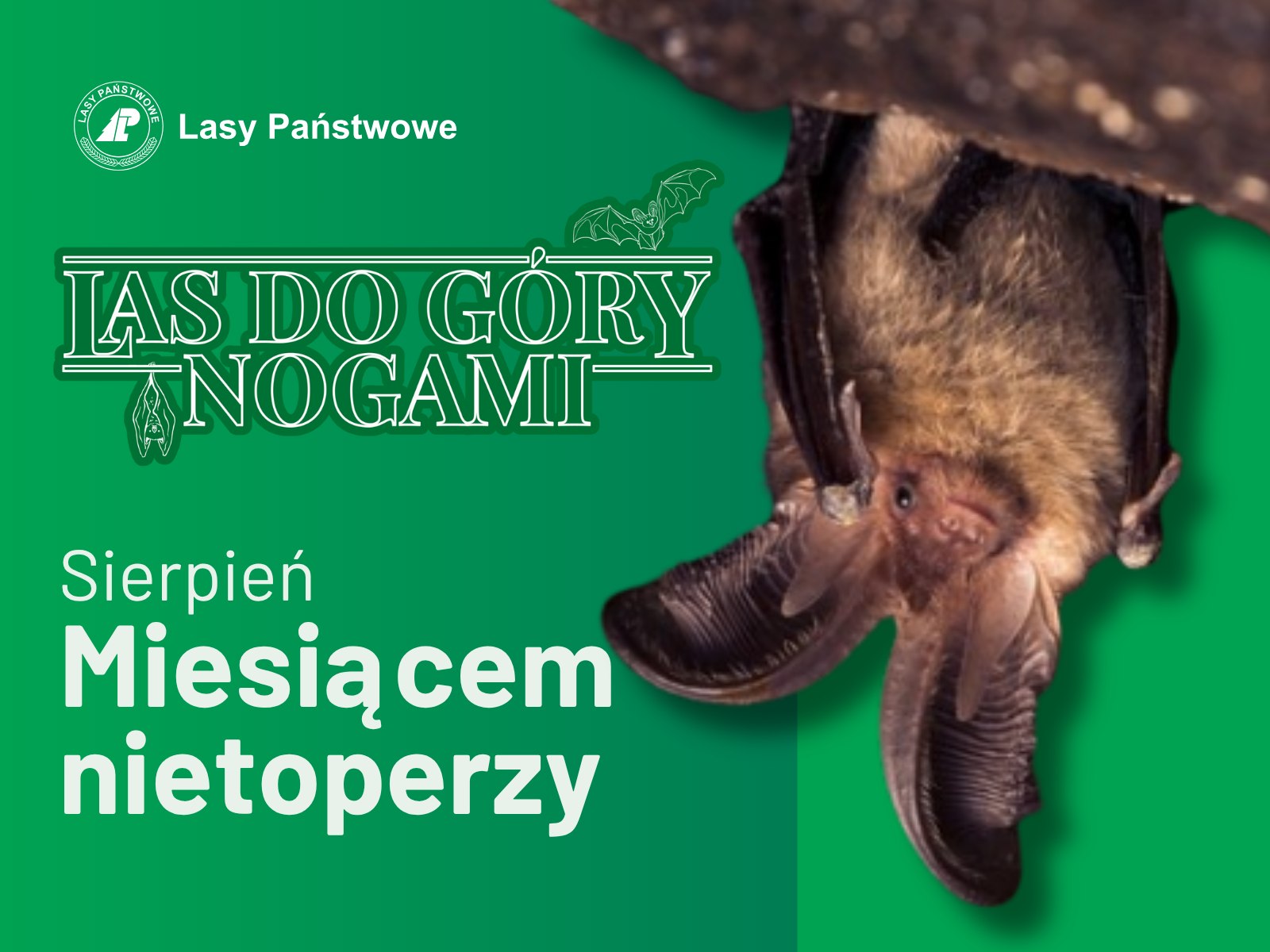 Plakat akcji las do góry nogami