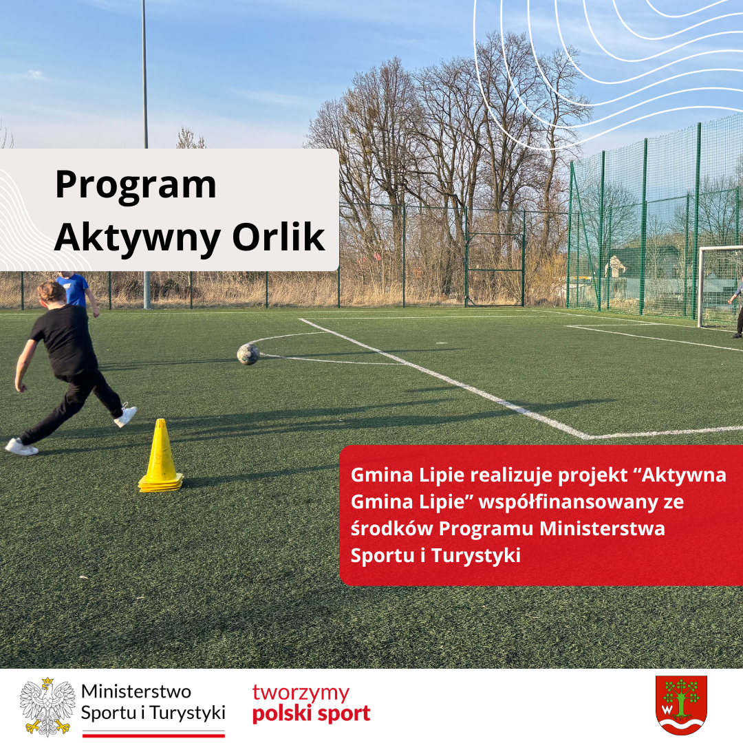 Grafika informująca o dofinansowaniu w ramach programu Aktywny Orlik