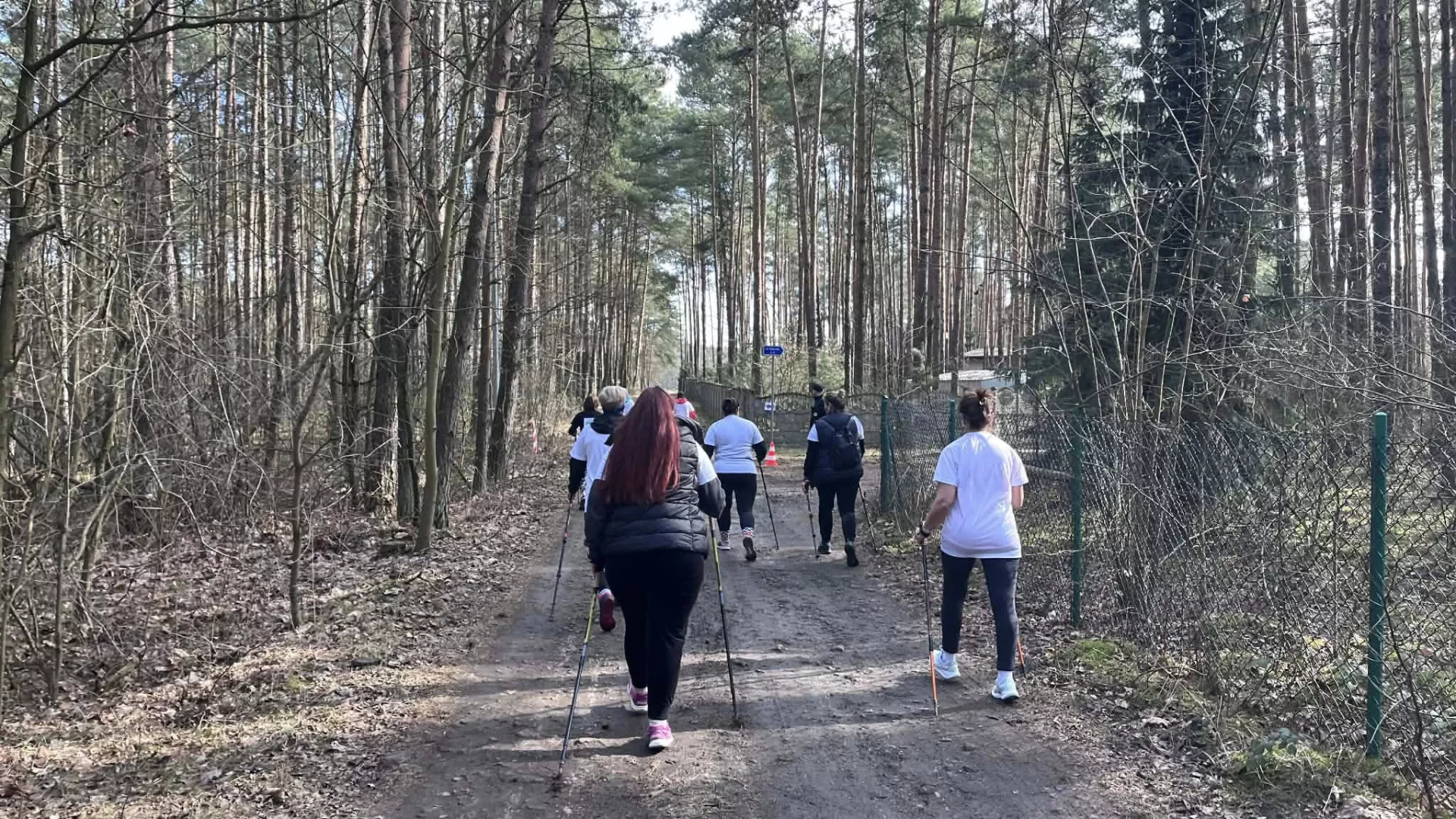 Uczestnicy marszu nordic walking na trasie podczas wydarzenia