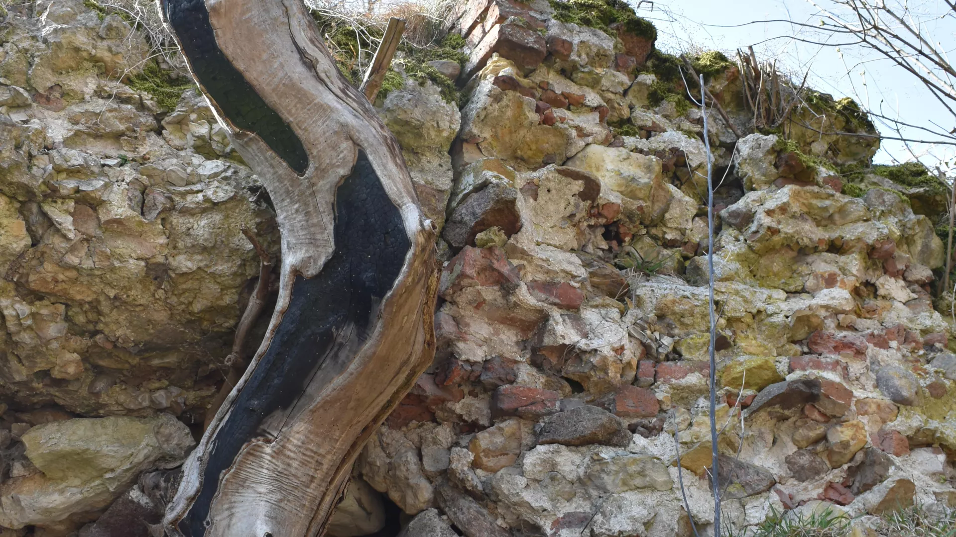 miejsce gdzie średniowieczny mur łączy się z tym zbudowanym przez Warszyckiego