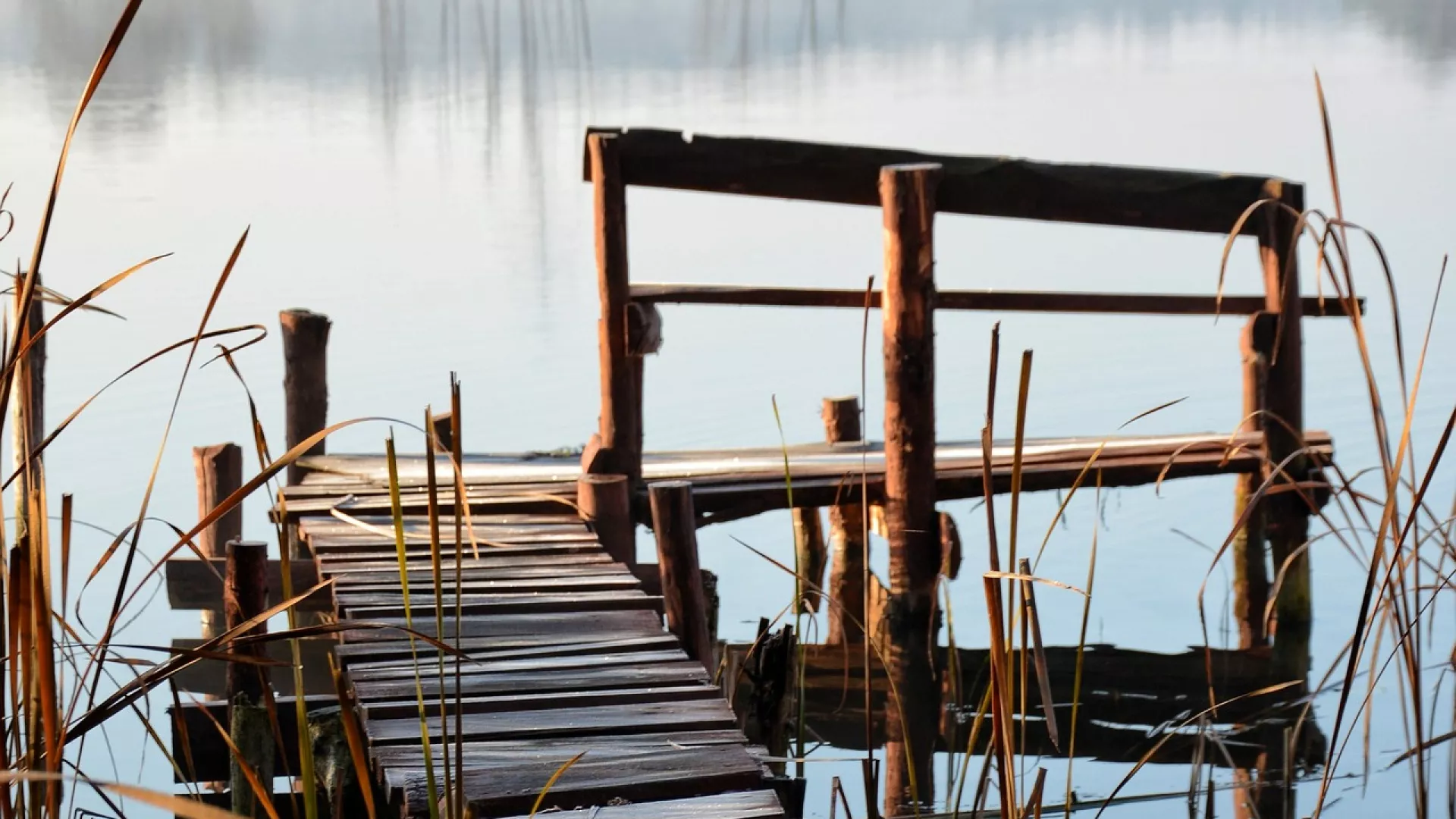 Zdjęcie drewnianego pomostu nad wodą.