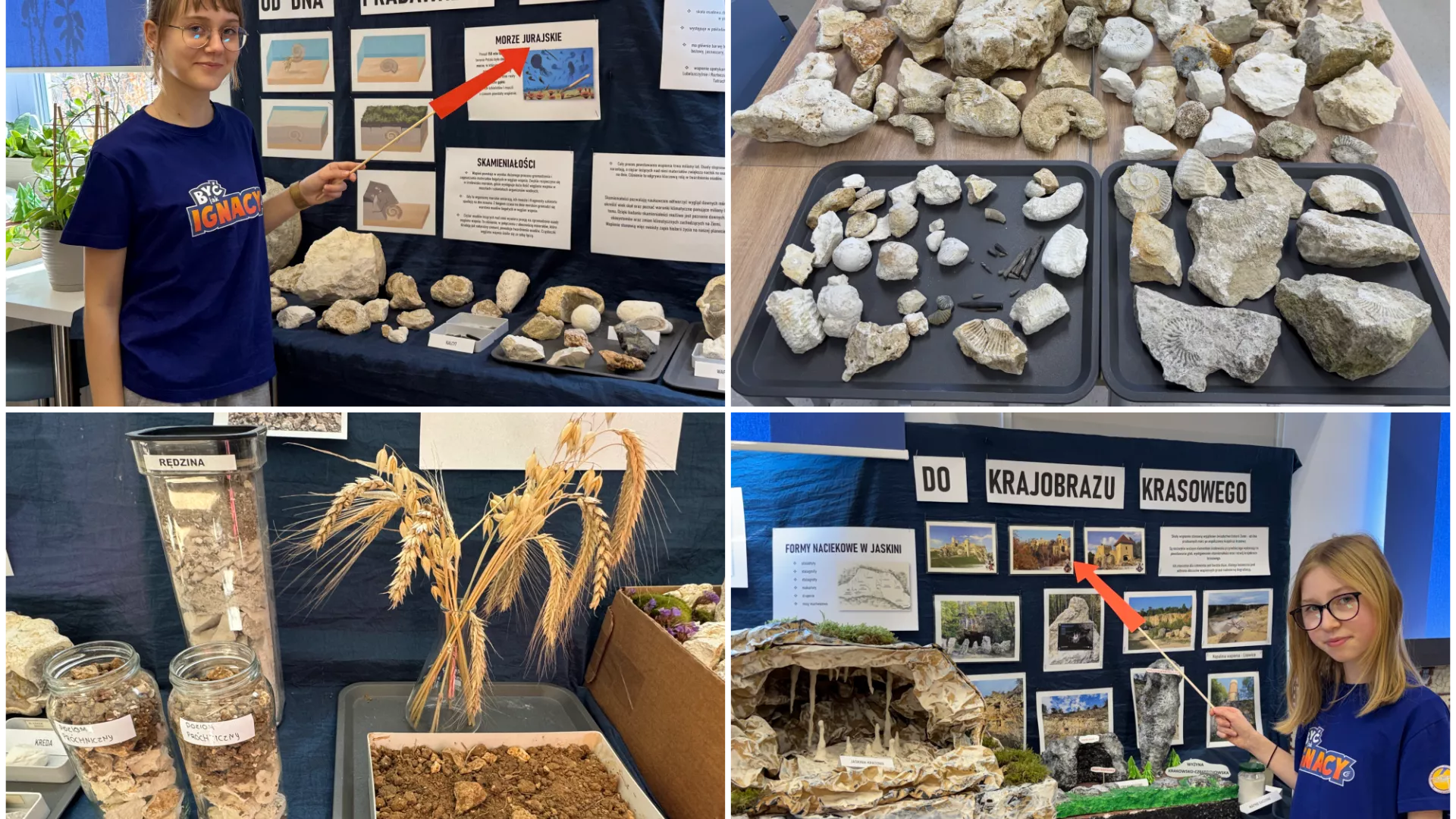 Kolaż zdjęć z realizacji projektu w szkole