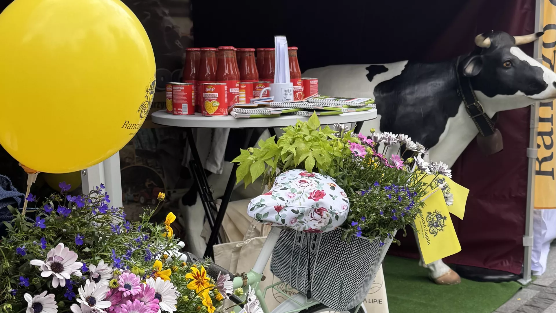 stoisko gminy Lipie na Targach Sportu i Rekreacji w Częstochowie 