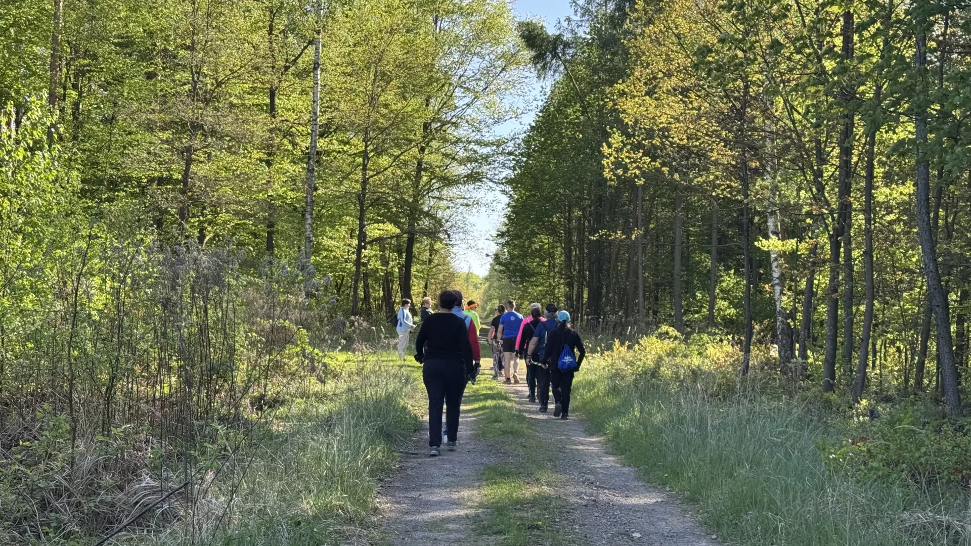 Uczestnicy treningu nordic walking z mistrzem podczas zajęć