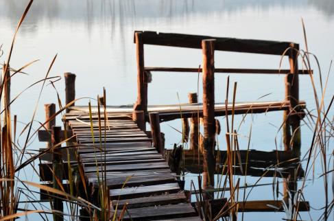 Zdjęcie drewnianego pomostu nad wodą.