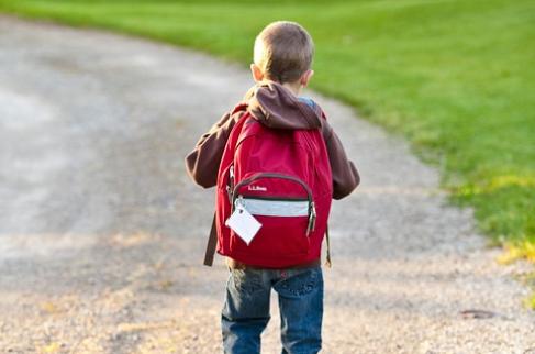 Fotografia przedstawia chłopca z plecakiem idącego drogą.