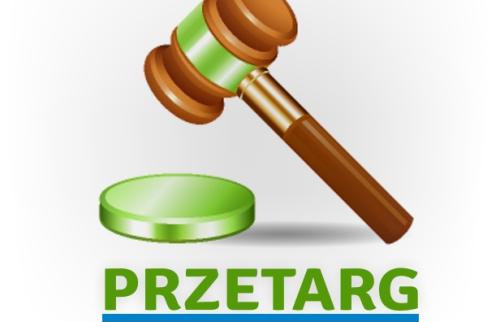 Drewniany młotek uderza w zieloną podstawkę z napisem PRZETARG.
