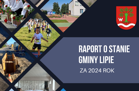 Raport o stanie gminy Lipie