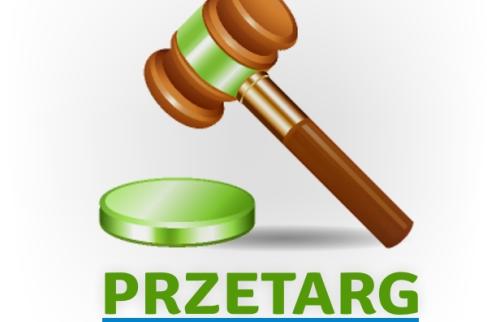 Drewniany młotek uderza w zieloną podstawkę z napisem PRZETARG.