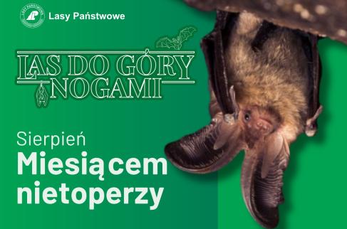 Plakat akcji las do góry nogami