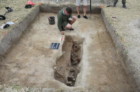 Wykopaliska w parzymiechach
