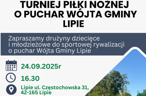 TURNIEJ PIŁKI NOŻNEJ DLA DZIECI I MŁODZIEŻY O PUCHAR WÓJTA GMINY LIPIE